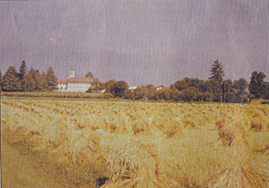image accueil